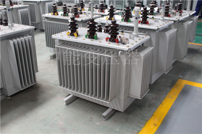 嘉兴S22-250KVA/10KV变压器